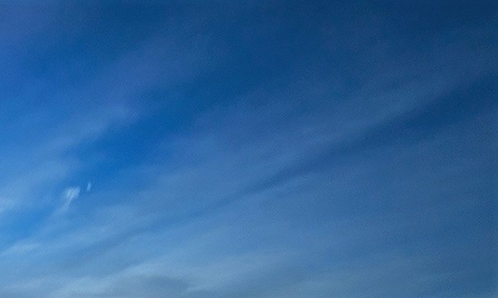 粉象生活帮你省钱