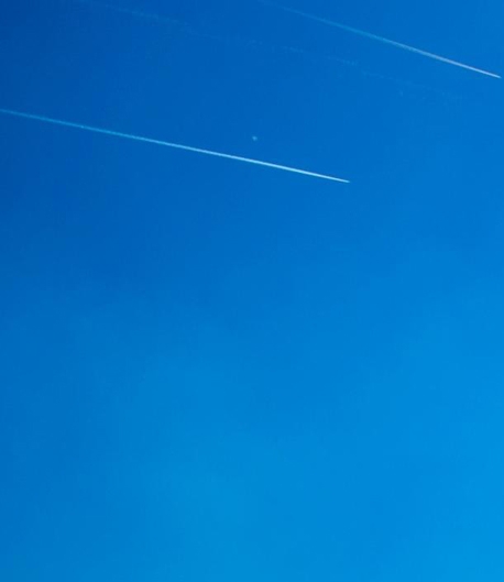 通过粉象生活购物