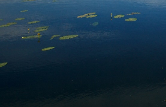 徐州粉象生活代理