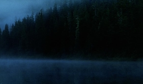 粉象生活平台收入