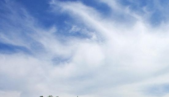 粉象生活官方邀请码哪一个是真的