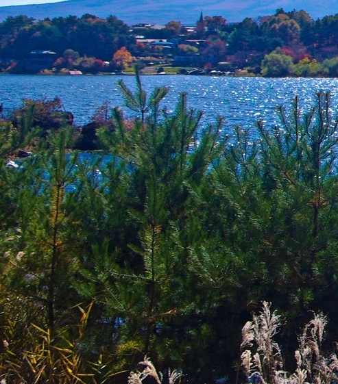 粉象生活做任务视频