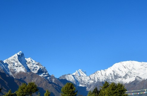 粉象生活怎么赚钱的