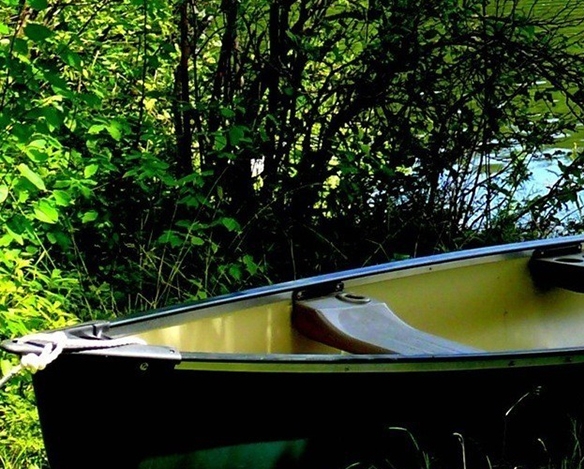 粉象生活分现金