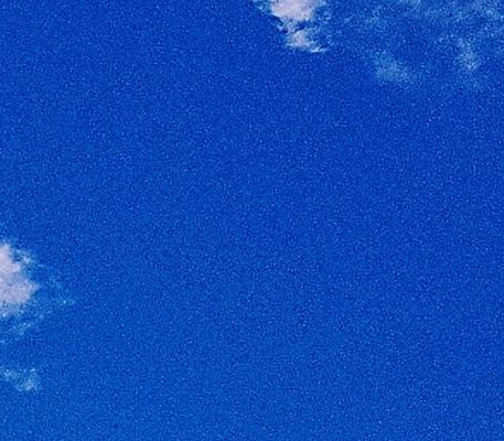 粉象生活创业的感想