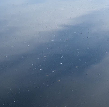 粉象生活邀请码