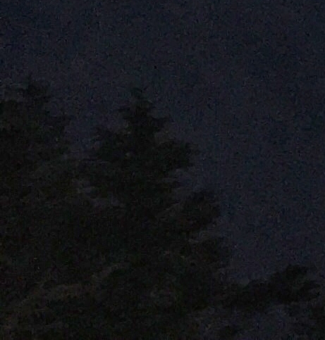 粉象生活下载app