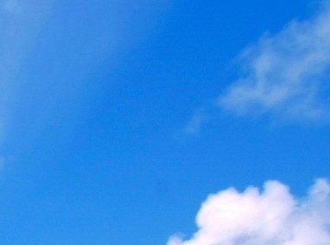 你们是怎么推广粉象的