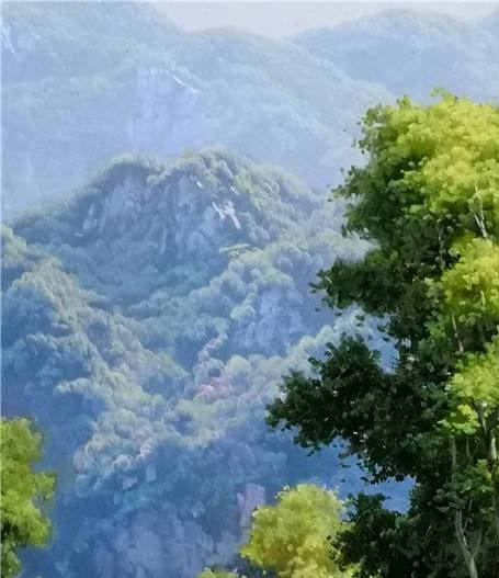 粉象生活下载