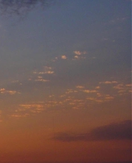 粉象生活模式合法