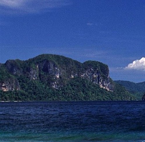 粉象生活购物是先付款还是先分享