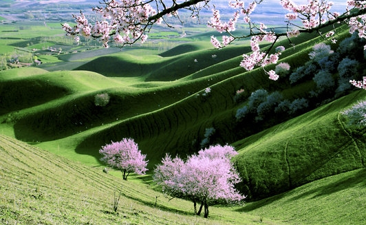 粉象生活是个什么东西