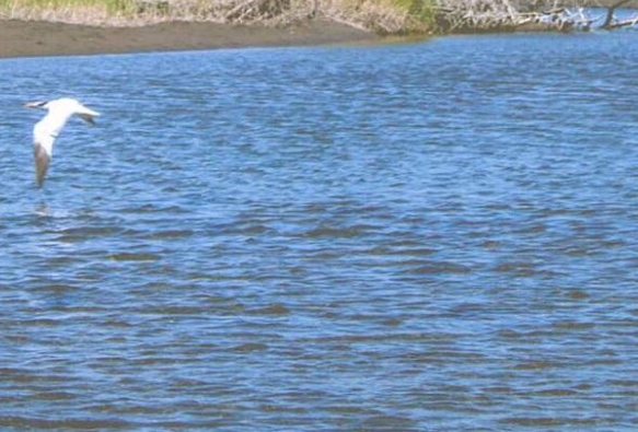 粉象是什么平台