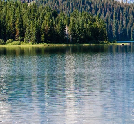 粉象生活粉丝买东西我能赚佣金吗