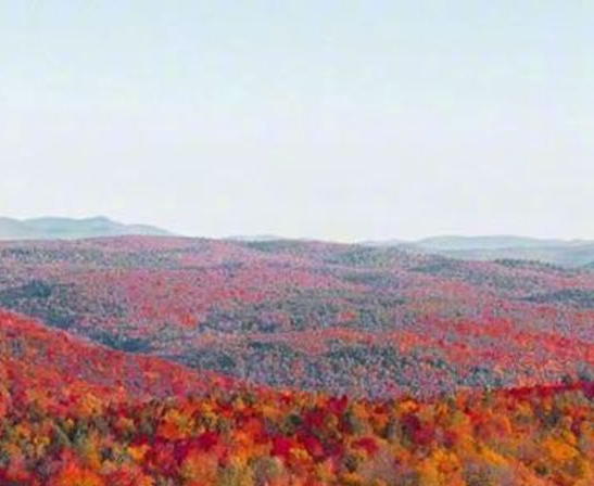 粉象生活是正规平台吗