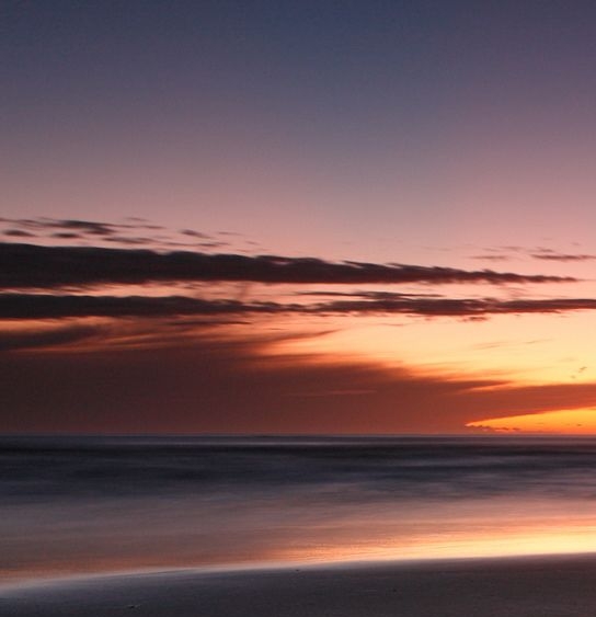 比利时粉象啤酒