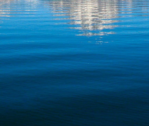 粉象生活怎么取消分享任务