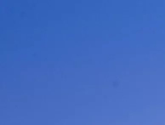 粉象生活代表什么