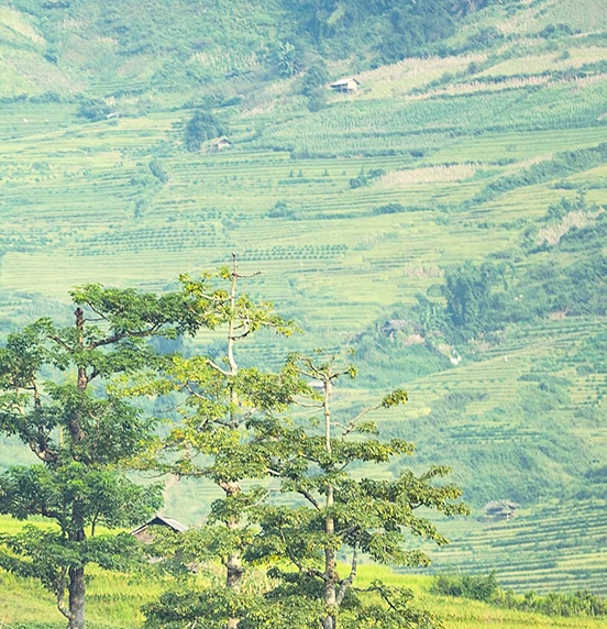 小象优品借款平台