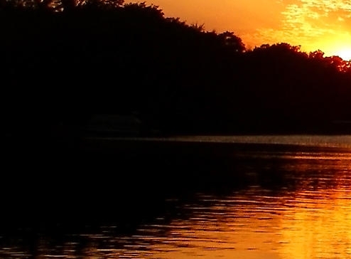 潮州粉象生活佣金