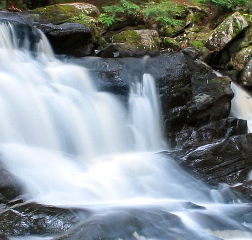 小森生活怎么卡金币
