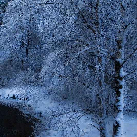 洛川县黑恶势力