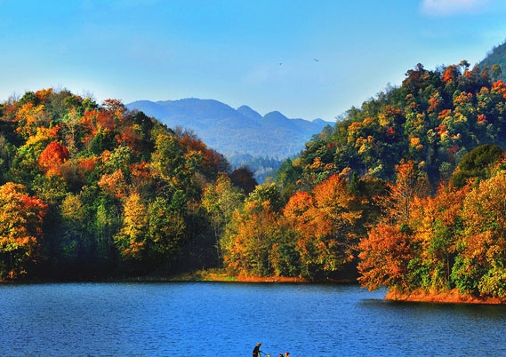 粉象生活是干嘛的