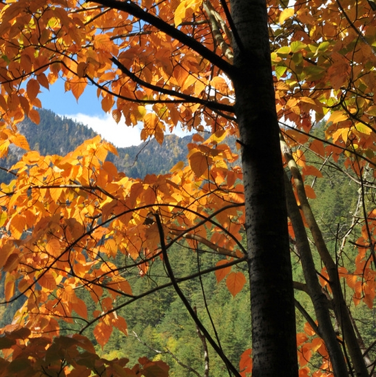 粉象有多少粉丝才能赚钱