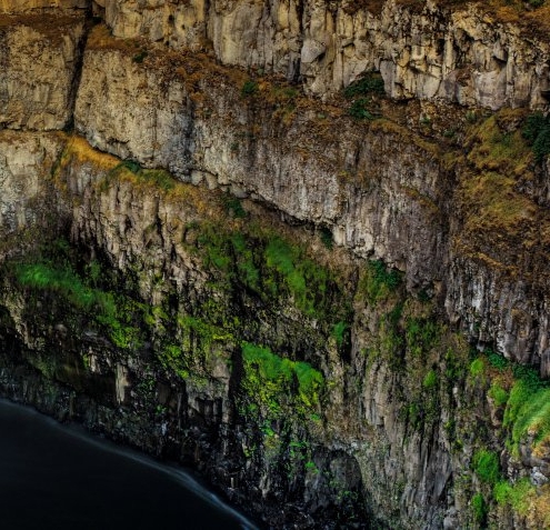 粉象生活怎么开店挣钱
