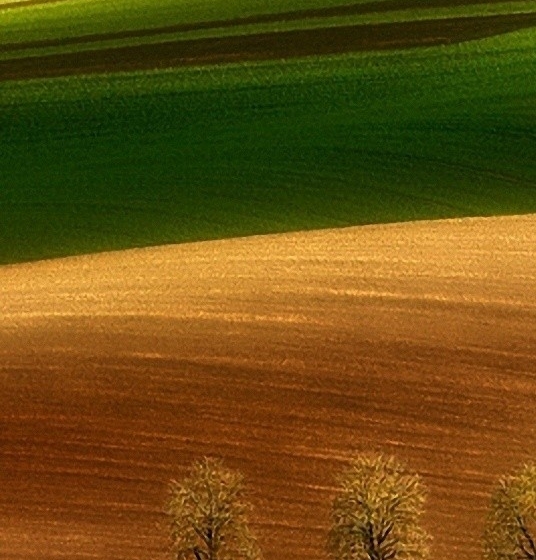 泰国粉象啤酒多少度