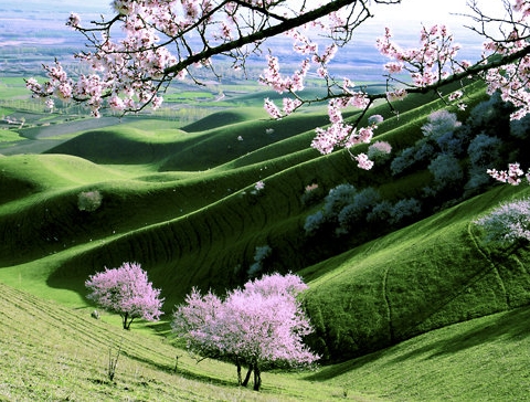 粉象生活是干嘛的