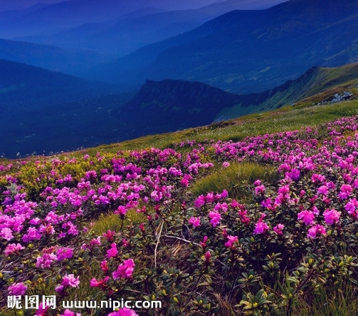 粉象生活邀请码