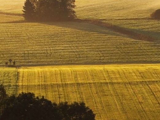 粉象生活东西是不是真的
