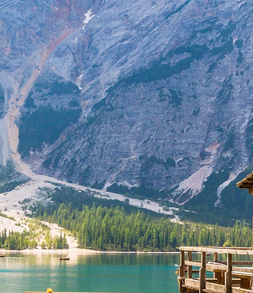 粉象生活如何购买的