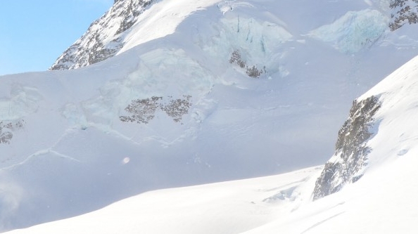 粉象生活开通会员有什么用