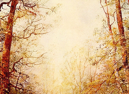 粉象生活邀请码