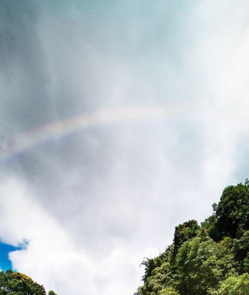 粉象生活邀请码