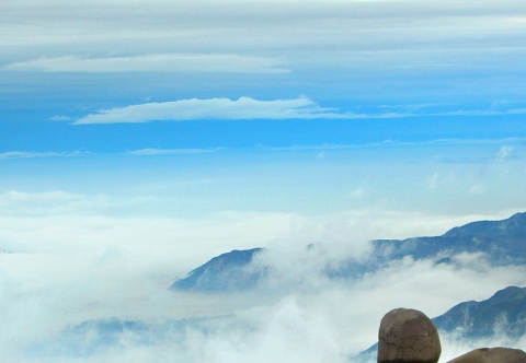 怎样获得粉象生活邀请码
