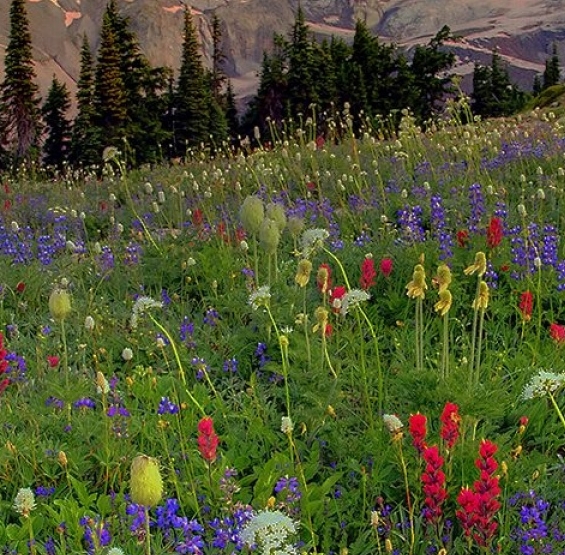 粉象生活可以赚钱吗