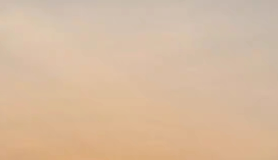 粉象生活骗局?揭密很多人被骗!说说他们的亲身经历!