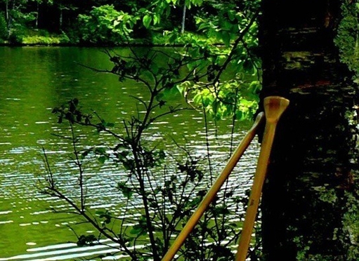 粉象生活下载app