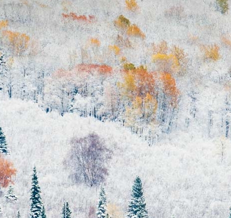 支付宝生活号怎么开通