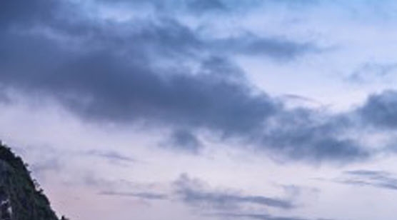 苏州粉象生活收入