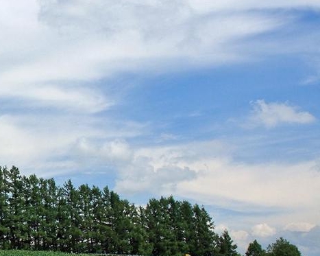 粉象生活能赚到钱吗