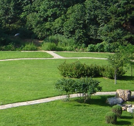 粉象生活注册手机号