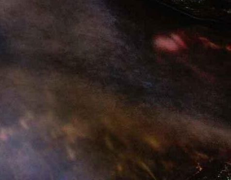 粉象生活什么时候开始推广的