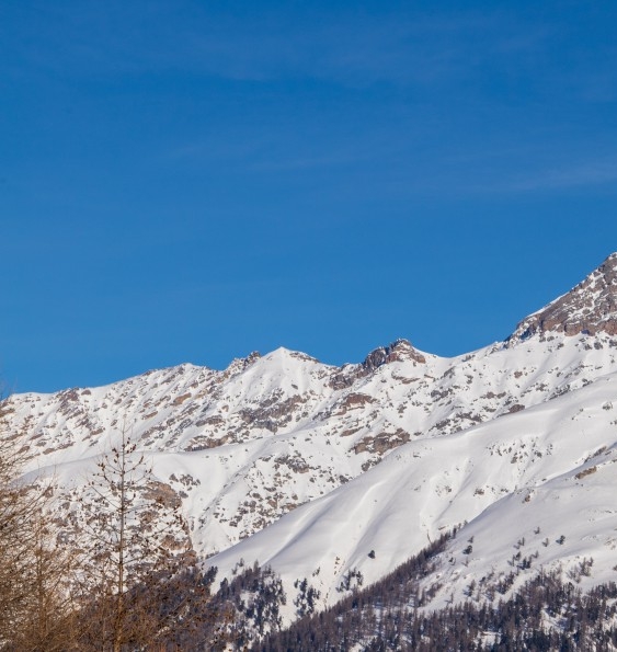 粉象生活宝妈如何挣钱