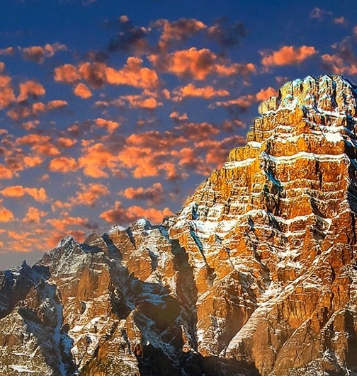 粉象生活是什么?