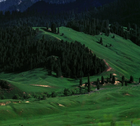 粉象生活怎么去推广