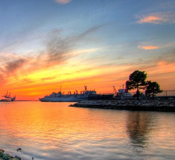 粉象生活京东怎么使用